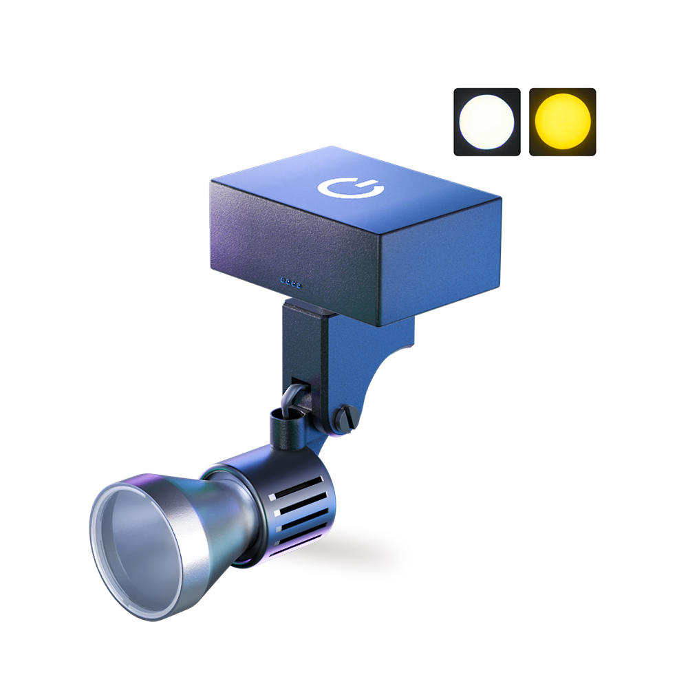 Best Dental Loupe Light in 2026 (Complete Buyer’s Guide for Dentists)