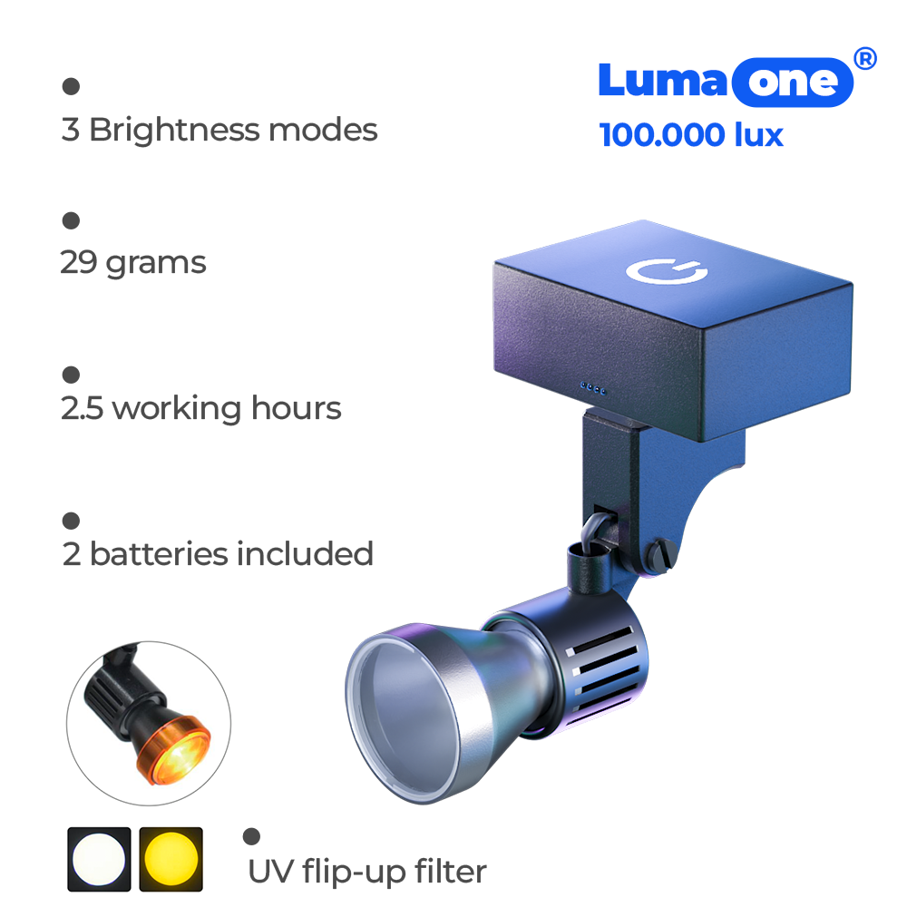 Lumaone 1.png__PID:59105cc2-015c-4d44-8177-d3b695d70fef